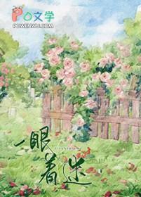 一眼着迷全文阅读免费