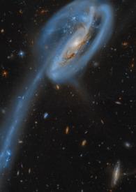 仿生人他只想做爱