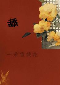 舔一朵雪绒花（古言h）